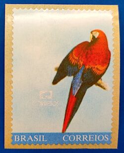 Selo Etiqueta Automato Arara Vermelha Vertical Sem Franquia