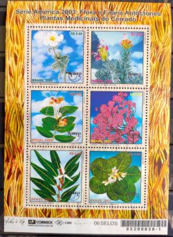 B 131 Bloco Flora e Fauna Autoctones Plantas Medicinais do Cerrado 2003