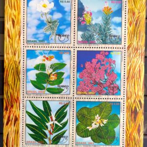 B 131 Bloco Flora e Fauna Autoctones Plantas Medicinais do Cerrado 2003