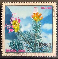 C 2514 Selo do Bloco B 131 Plantas Medicinais do Cerrado Arni Saúde 2003