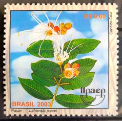 C 2515 Selo do Bloco B 131 Plantas Medicinais do Cerrado Paca Saúde 2003