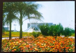 Cartao Postal Brasilia Flores
