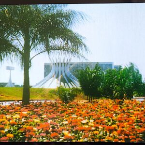 Cartao Postal Brasilia Flores