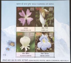 India 2013 Selo Flor Orquidea IN BL 117