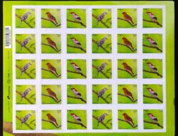 C 3694 Selo Aves Brasileiras 2017 Autoadesivo Folha