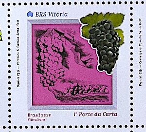 C 3974 Selo Viticultura Bebida Vinho Uva 2020 Serie Completa