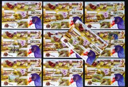 Maximo Postal 2001 Pantanal Fauna e Flora Cartao Postal CBC MS