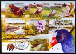 Maximo Postal 2001 Pantanal Fauna e Flora Cartao Postal CBC MS