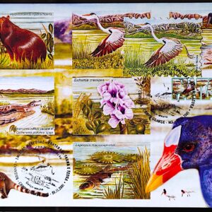Maximo Postal 2001 Pantanal Fauna e Flora Cartao Postal CBC MS