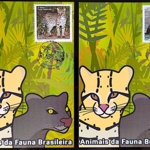 Maximo Postal Animas da Fauna Brasileira Jaguatirica e Gato Mourisco 2012 Cartao Postal CBC MS