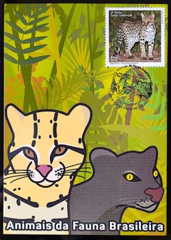 Maximo Postal Animas da Fauna Brasileira Jaguatirica e Gato Mourisco 2012 Cartao Postal CBC MS