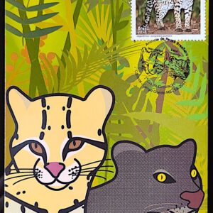 Maximo Postal Animas da Fauna Brasileira Jaguatirica e Gato Mourisco 2012 Cartao Postal CBC MS