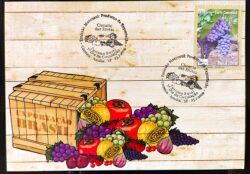 Maximo Postal Circuito das Frutas Uva 2009 Cartao Postal CBC SP