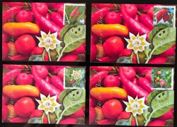 Maximo Postal Pimentas Brasileiras Cartao Postal CBC DF