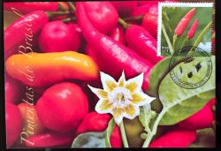 Maximo Postal Pimentas Brasileiras Cartao Postal CBC DF