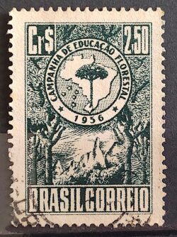 C 382 Selo Campanha de Educacao Florestal Mapa 1956 Circulado 3