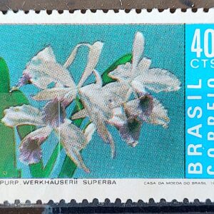 C 713 Selo Promocao da Orquidea Flor Flora 1971 1