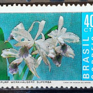 C 713 Selo Promocao da Orquidea Flor Flora 1971 2