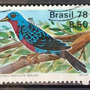 C 1037 Selo Passaros Brasileiros Fauna Ave Cotinga 1978 Circulado 1