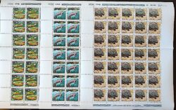 C 1091 Selo Parque Nacional da Amazonia Flora Vitoria Regia 1979 Serie Completa Folha