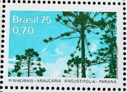 C 892 Selo Presevacao da Flora e da Fauna Pinheiros 1975