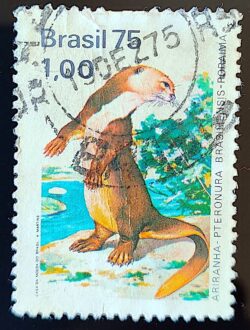 C 893 Selo Presevacao da Flora e da Fauna Ariranha 1975 Circulado 2