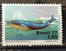C 989 Selo Meio Ambiente Baleia Fauna 1977