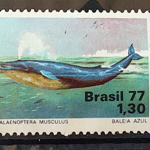 C 989 Selo Meio Ambiente Baleia Fauna 1977