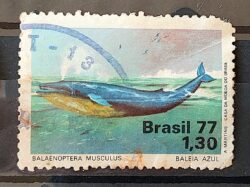 C 989 Selo Meio Ambiente Baleia Fauna 1977 Circulado 1