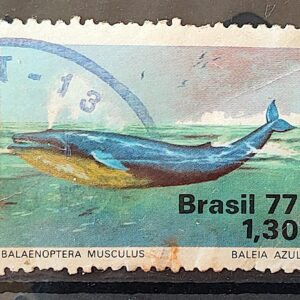 C 989 Selo Meio Ambiente Baleia Fauna 1977 Circulado 1