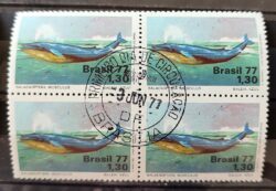 C 989 Selo Meio Ambiente Baleia Fauna 1977 Quadra CPD BSB