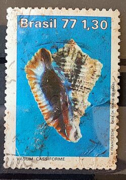 C 992 Selo Moluscos do Brasil Vasum 1977 Circulado 1