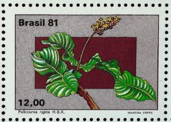 C 1219 Selo Flora Brasileira Planalto Central Flor Saude Cerrado 1981