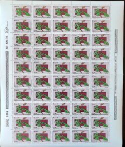 C 1219 Selo Flora Brasileira Planalto Central Flor Saude Cerrado 1981 Folha