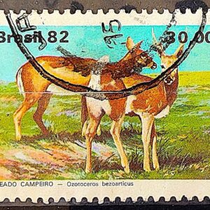 C 1263 Selo Fauna Brasileira Veado 1982 Circulado 1