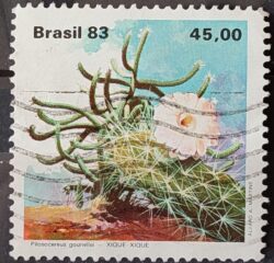 C 1351 Selo Flora Cacto 1983 Circulado 4