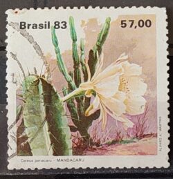 C 1353 Selo Flora Cacto 1983 Circulado 12