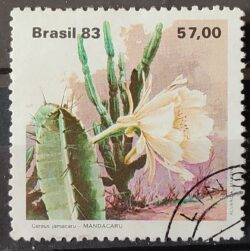 C 1353 Selo Flora Cacto 1983 Circulado 4