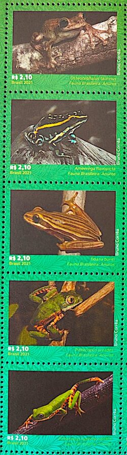 C 4005 Selo Fauna Brasileira Anuros Sapo Anfibio 2021 Serie Completa