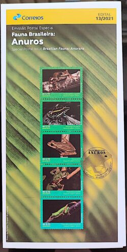 Edital 2021 13 Fauna Brasileira Anuros Sapo Sem Selo