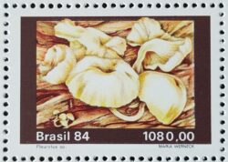 C 1420 Selo Fungos Reino Fungi 1984