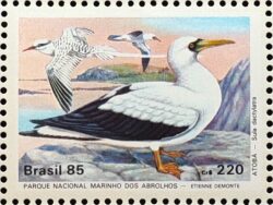 C 1462 Selo Fauna Abrolhos Ave Passaro Atoba 1985