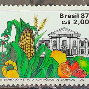 C 1553 Selo 100 Anos Instituto Agronomico de Campinas Educacao Milho 1987