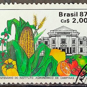 C 1553 Selo 100 Anos Instituto Agronomico de Campinas Educacao Milho 1987 Circulado 1