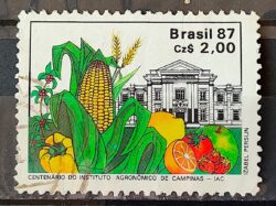 C 1553 Selo 100 Anos Instituto Agronomico de Campinas Educacao Milho 1987 Circulado 2