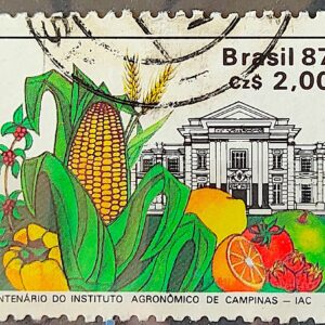 C 1553 Selo 100 Anos Instituto Agronomico de Campinas Educacao Milho 1987 Circulado 3