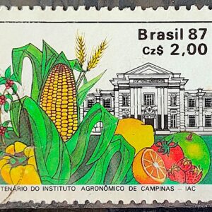 C 1553 Selo 100 Anos Instituto Agronomico de Campinas Educacao Milho 1987 Circulado 4