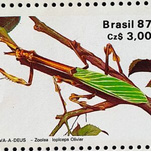 C 1554 Selo 50 Anos Sociedade Brasileira de Entomologia Inseto Louva a Deus 1987 2