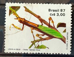 C 1554 Selo 50 Anos Sociedade Brasileira de Entomologia Inseto Louva a Deus 1987 Circulado 1