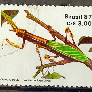 C 1554 Selo 50 Anos Sociedade Brasileira de Entomologia Inseto Louva a Deus 1987 Circulado 1